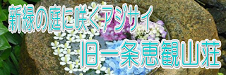 新緑の庭に咲くアジサイ～旧一条恵観山荘～