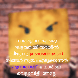 malayalam troll images