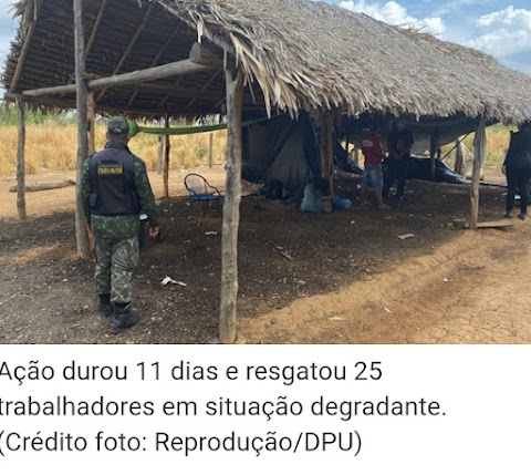 Defensoria Pública da União (DPU), resgata 25 pessoas em situação de trabalho escravo em Balsas