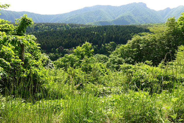 鳥取県西伯郡大山町豊房　香取の山道からの眺め