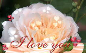 latest hd I love you images photos wallpaper for free download  34