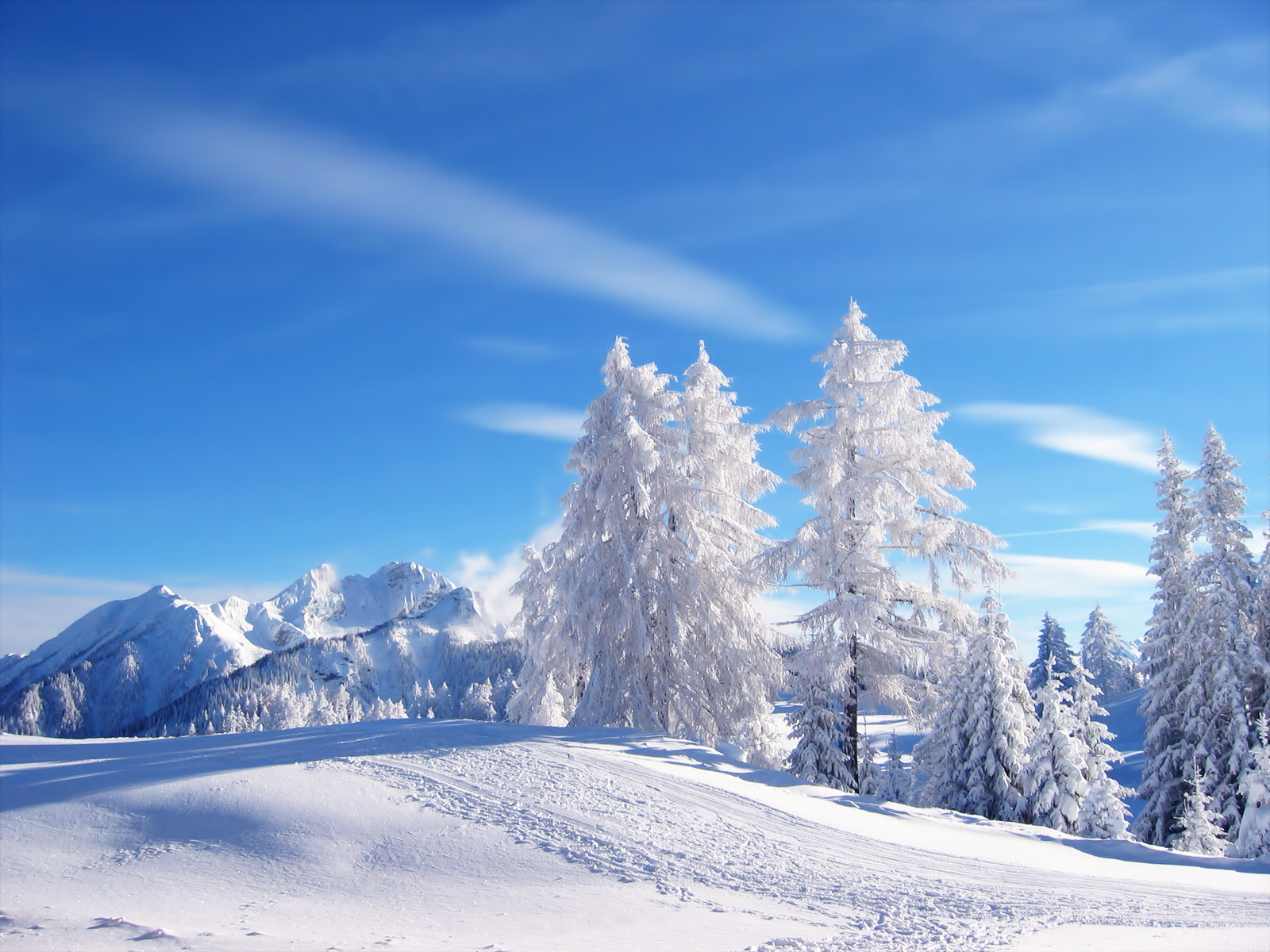 Winter ada pada bulan Desember Januari dan Februari Pada musim ini hari terasa lebih dingin dan sering bersalju para umat kristen merayakan natal pada