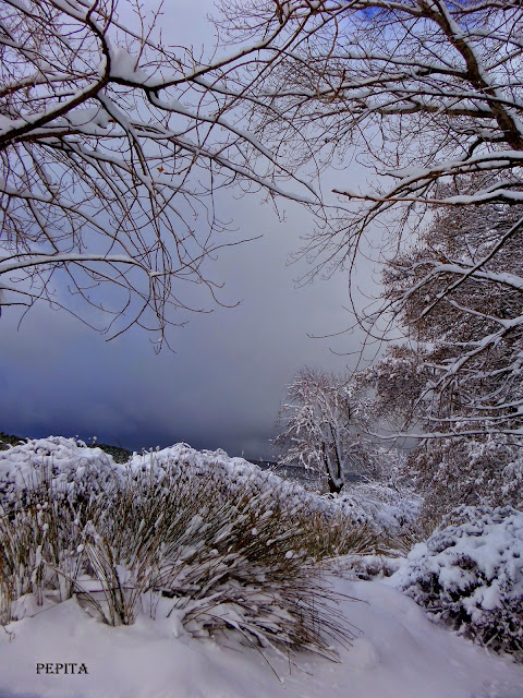 Paisaje nevado
