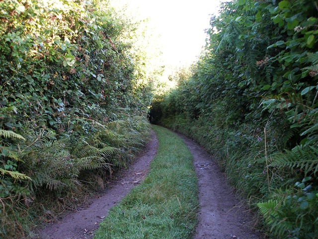 22nd_august_09