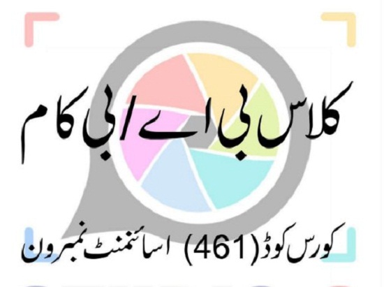 aiou-solved-assignments-bcom-code-461