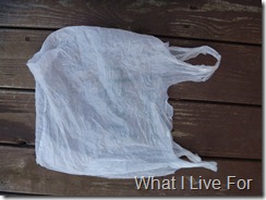 Grocery Sack Yarn-Lay your bag flat