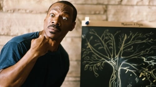 Una bugia di troppo 2012 dvdrip italiano