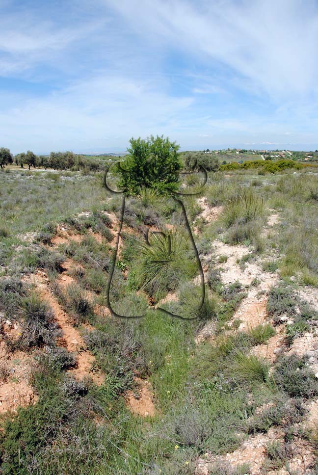 © Emiliano Martínez de Dios, 2013 Trinchera en zigzag