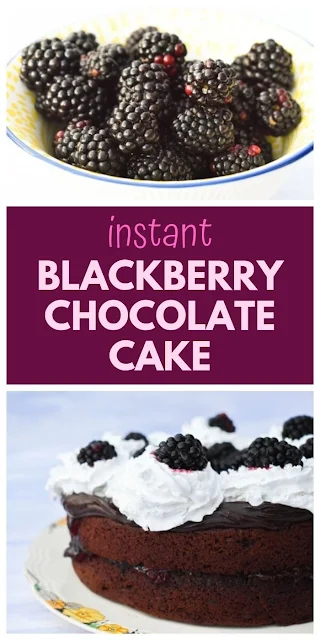 A super quick vegan chocolate cake filled with blackberries for last minute guests or when you just want a quick recipe that doesn't require much effort for a luxurious cake. It's egg-free and dairy-free and made in under 30 minutes. #blackberrycake #chocolatecake #veganchocolatecake #dairyfreechocolatecake #eggfreechocolate #blackberries 