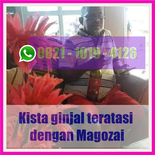 testimoni ginjal bocor, obat tradisional ginjal bocor