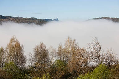 foggy-spring-morning