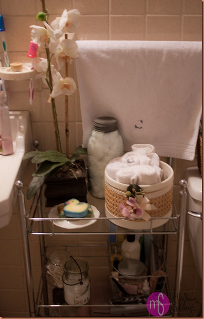 bathroom storage 009