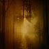 Whispers in the Fog