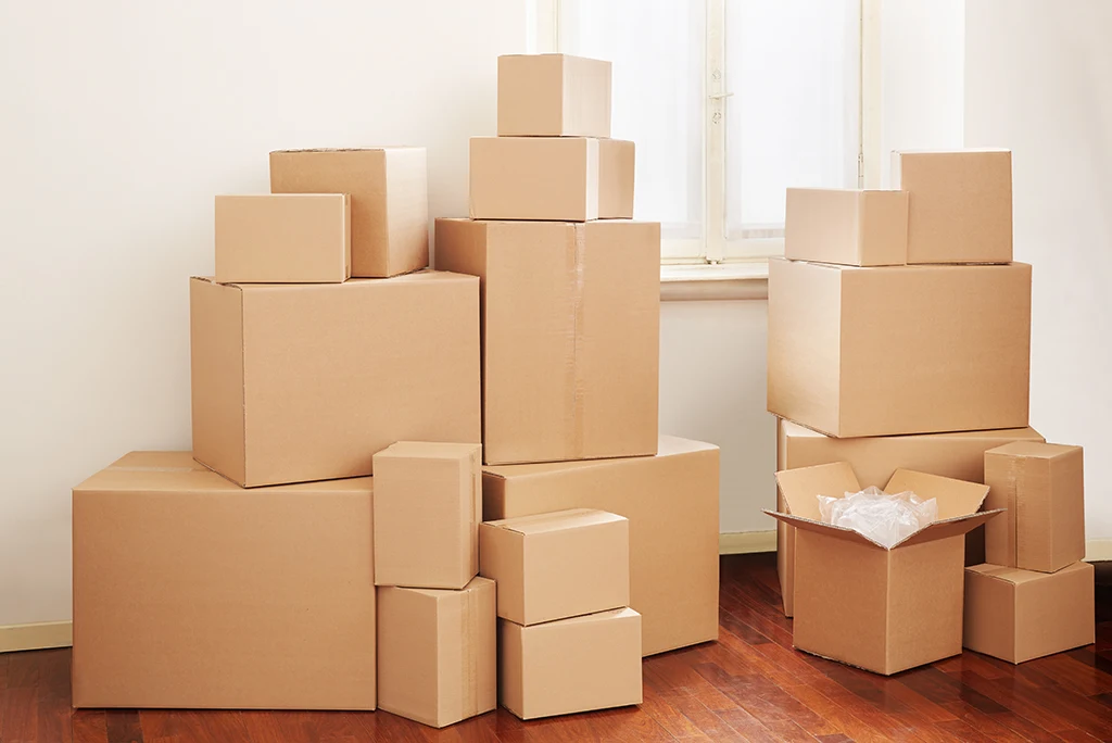 carried by cardboard boxes