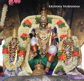 Aadi Sesha Vahanam,Purappadu, Brahmotsavam,Sri Parthasarathy Perumal,Chithirai, Triplicane,   Thiruvallikeni, Utsavam