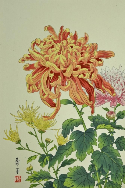 Japanese Chrysanthemum Painting Images amp; Pictures  Becuo
