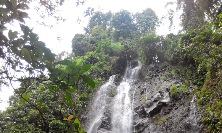 CURUG CIGAMEA (Kawasan Gunung Bunder)