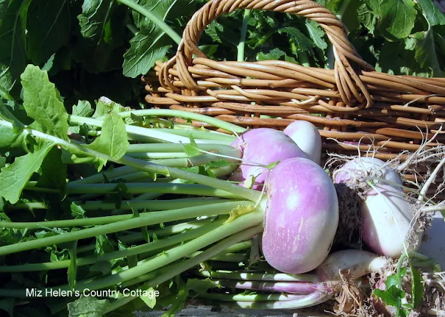 The Turnip Green Journey at Miz Helen's Country Cottage