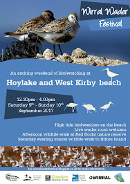Wirral Wader Festival 2017