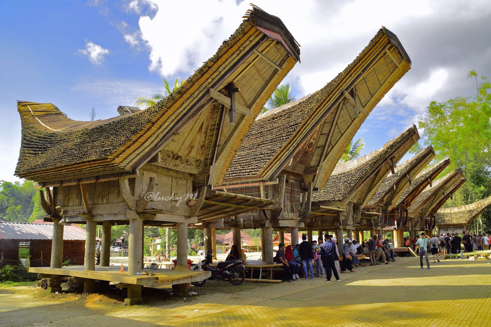 Tongkonang Rumah  Adat  Toraja LUCKY FOTOGRAFI PAPUA