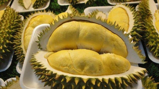 Manfaat makan durian? Kaya akan antioksidan, tetapi menggemukkan