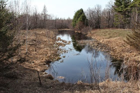 ice out (again) at the pond