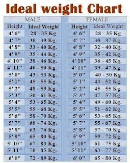 Zero figure Size according to Height