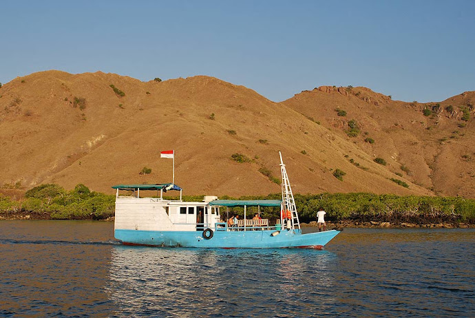 Barco navegando