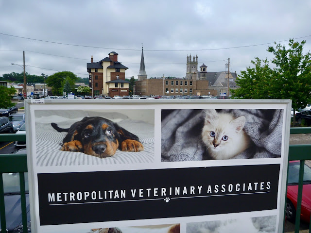 poster with puppy and kitten