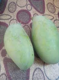 buah  mangga