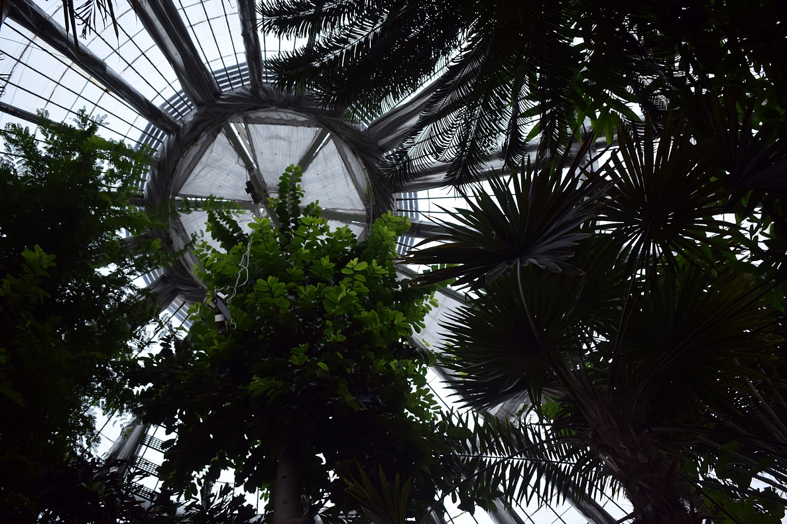 University of Copenhagen, Botanical Garden (palmhouse)