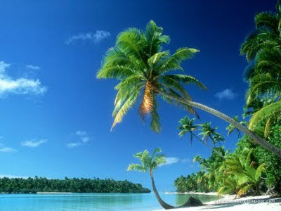 beach wallpaper for desktop. tropical each wallpaper hd.