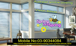 Vision Blinds