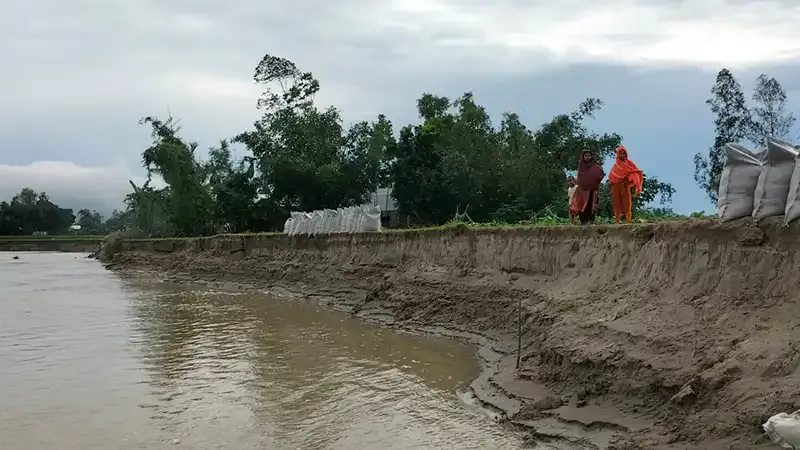 ইসলামপুরে নদী ভাঙ্গনের কবলে দিশেহারা নদী তীরবর্তী মানুষ