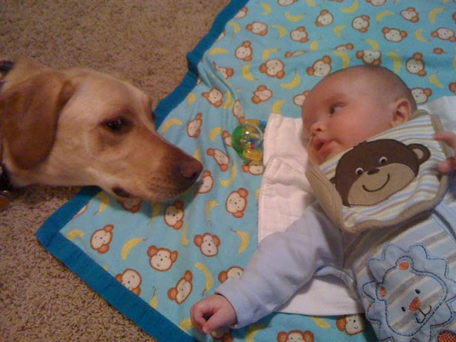 Little boy and his dog friend (24 pics), dog and baby friends pics, cute dog pics, adorable photos of baby and dog