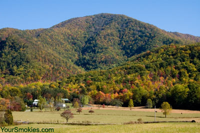 2008 leaf season with stunning colors on Cove Mountain and all throughout Wears Valley in the Tennessee