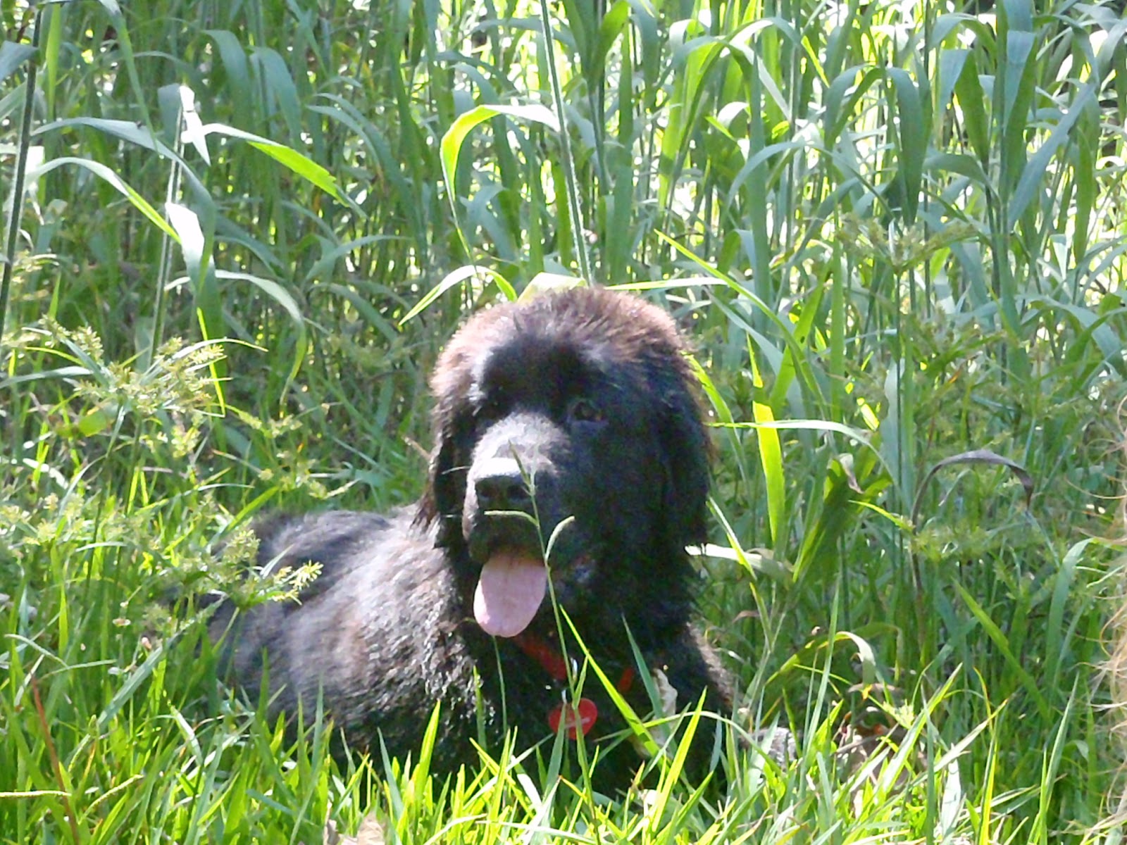 Trekking 3 (100)