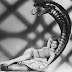 TRUST IN ME: DANCING WITH SNAKES