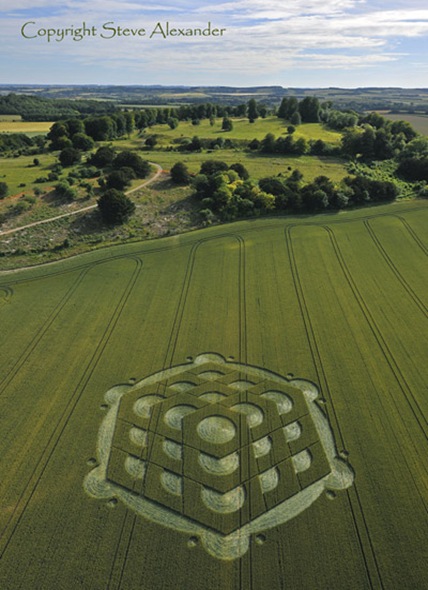 Danebury Hill, nr Nether Wallop. Hampshire. Reported 6th July.1