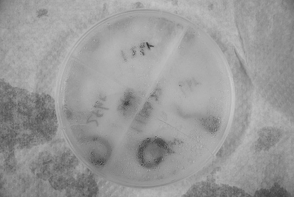 110223(110227-000013)