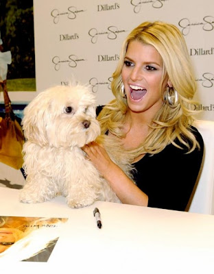 Jessica Simpson Dog Missing photos