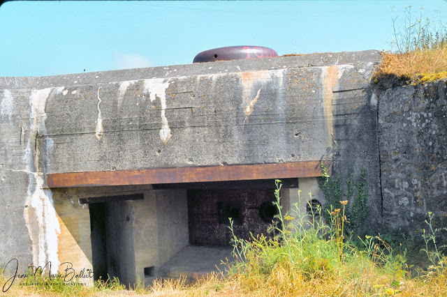 Fort d'Arboulé (la Varde). Casemate de type R122 surmontée d'une coupole type 441PO1