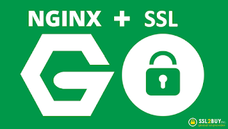 Nginx SSL Certificate and HTTPS Redirect Errors