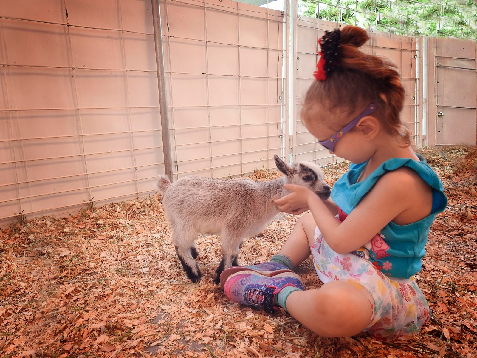 bond between animals and kids