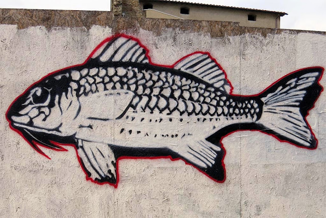 Triglia, goatfish, viale Caprera, Livorno