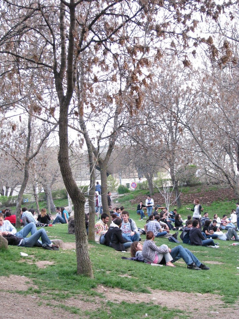 ODTÜ'ye BAHAR GELMİŞ DOSTLAR