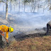 EXHORTA COMITÉ ESTATAL DE MANEJO DEL FUEGO A EVITAR INCENDIOS FORESTALES