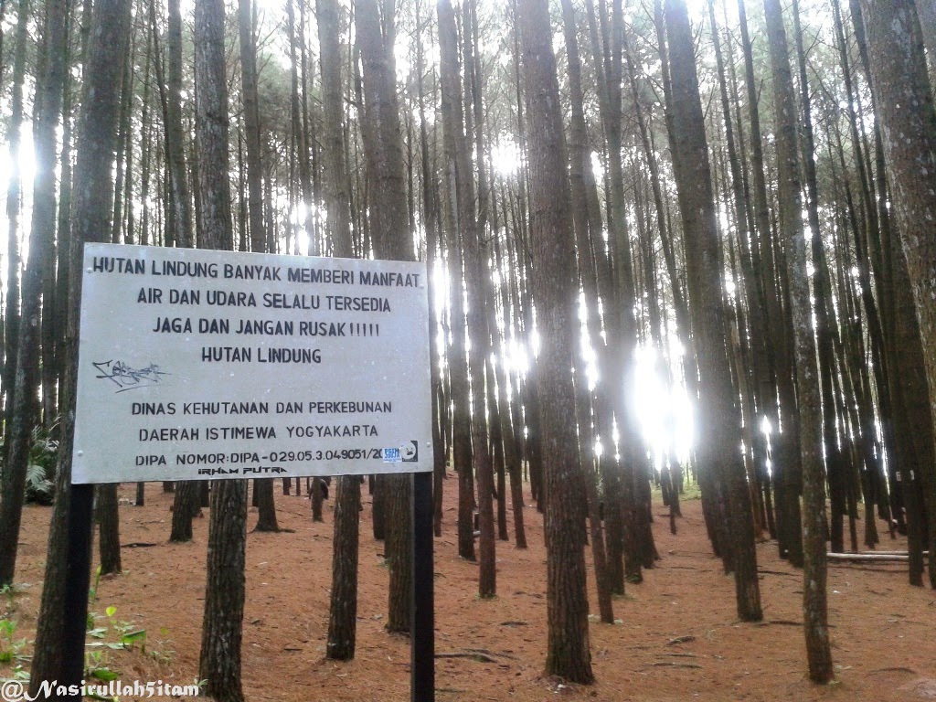 Berbagai rambu-rambu peringatan terpajang di Hutan Pinus, Dlingo