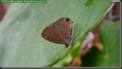 20150612_103421_007_FuYang_Park