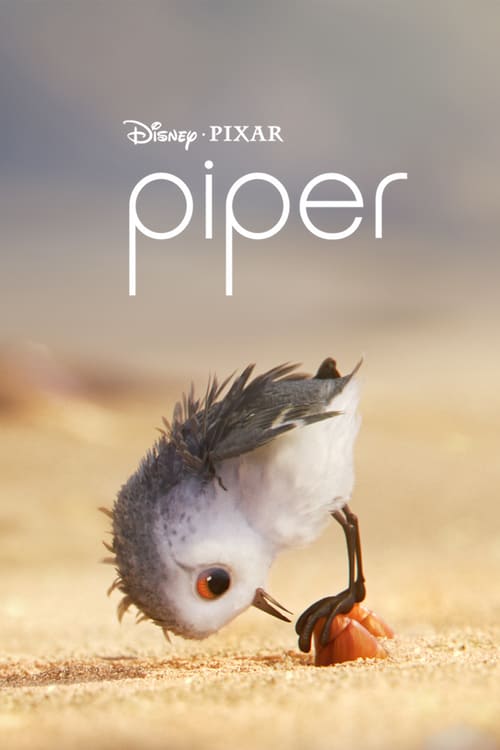 [HD] Piper 2016 Pelicula Completa En Español Gratis